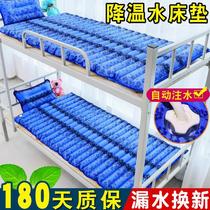 Water Mattress Ice Mat Water Mat Single Student Dormitory Water Mat Double Waterbed Home Summer Cooling Artifact Ice Mat