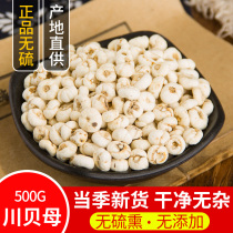 Fritillary 500g Fritillary fritillary Large Fritillary Fritillary Fritillary Fritillaria Fritillaria Chinese medicinal material Fritillaria Fritillaria Fritillaria Fritillaria