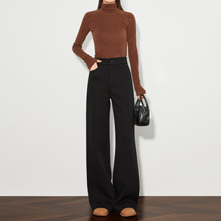 FAESSLIN【高级通勤】高腰黑色加绒休闲裤女冬加长拖地阔腿直筒裤