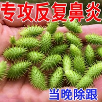 (Only one patch required) Rhinitis patch special medicine for allergic rhinitis childrens sinus sneezing Chinese medicine patch QQ