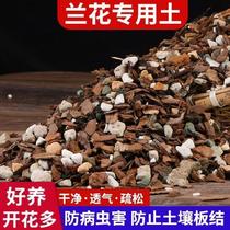 Orchid soil special soil plant material nutritional soil Phalaenopsis Clivia Dendrobium officinale orchidaceae plant gold stone granular soil