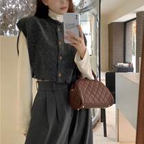 Salt series high-end single-breasted knitted vest for women autumn 2024 new fashion sleeveless waistcoat sweater cardigan vest