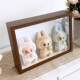 Labubu heart-warming macaron sitting at party Coca-Cola blind box scene display box storage photo frame