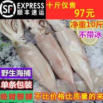Large squid whole fresh squid frozen squid cuttlefish octopus squid deep sea large squid wild squid tentacles