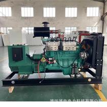 80KW gas generator set pig manure sewage treatment biogas generator set farm gas generator set