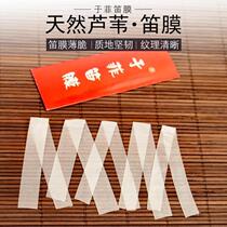 Yu Fei Flute Film Professional Bamboo Flute Film Playing Flute Reed Film Premium Grade Examination Special Flute Accessories
