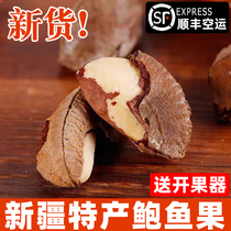 SF Express authentic Xinjiang abalone fruit original salt-baked desert fruit new arrival selenium-rich extra large particle nut snack for pregnant women