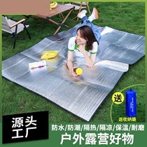 Outdoor aluminum film moisture-proof mat double-sided thickened camping beach mat pearl cotton picnic mat camping tent sleeping mat