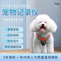 Pet perspective live broadcast equipment travel recorder cat camera dog sports camera halter neck