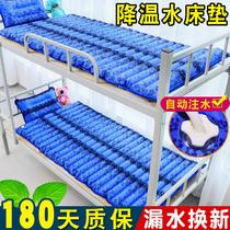 Water Mattress Ice Mat Water Mat Single Student Dormitory Water Mat Double Waterbed Home Summer Cooling Artifact Ice Mat