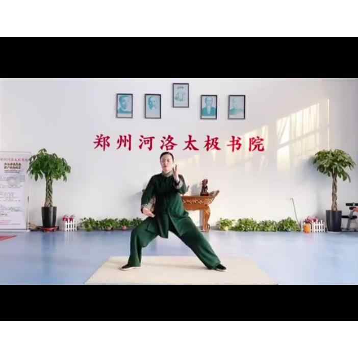 陈式太极拳新架一二路实战秘籍，张志俊亲授10DVD正版武术碟片