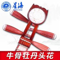 Beijing Xinghai rosewood Liuqin musical instrument 8412-2 Liuqin professional playing Liuqin free accessories