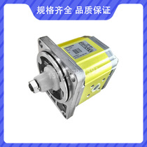 VIVOLO Vivo Italian gear pump X2P5902EOOA X2P5901EOOA hydraulic pump VIVOIL