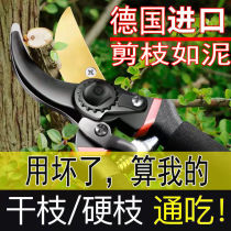 Tree thick branch scissors pruning scissors garden flower and floristry scissors gardening scissors flower pruning tools flower pruners fruit branch scissors