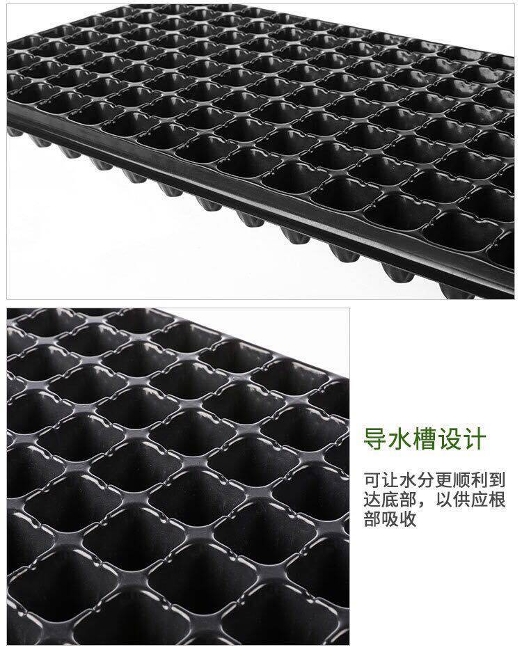 Рассада/питание None