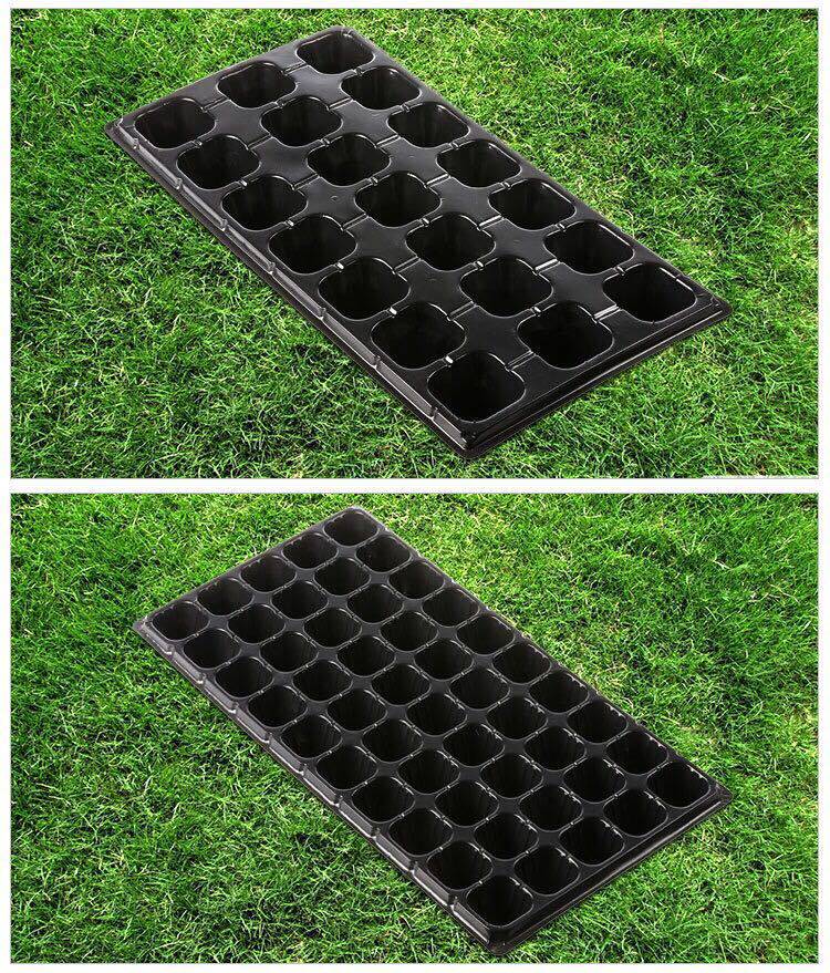 Рассада/питание None