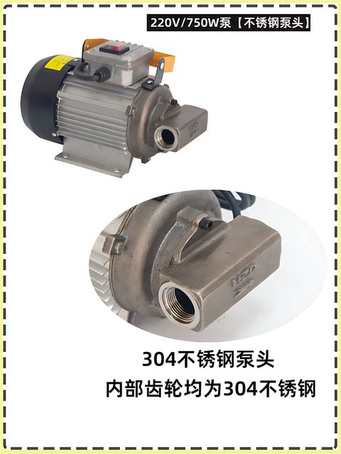 German High-Quality Imported Oil Pump Electric Gear Pump 20V Repair Shop Oil Hydraulic Oil Extractor Pump Oil Extractor