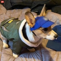 Dog hat open-ear baseball cap pet sun hat Corgi Shiba Inu small dog Teddy cat puppy duck tongue