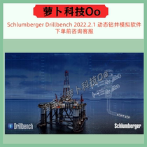 Dynamic drilling simulation software Schlumberger Drillbench 2022 remote installation service