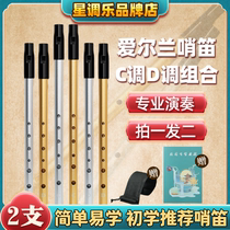 Star Tune Irish Whistle Beginners entry-level professional performance metal flute 6-hole C-key D-key recorder instrument