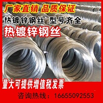 Hot-dip galvanized steel wire agricultural vine corrosion-resistant passion fruit rust-free straightening single kiwi fruit tree frame