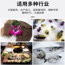 Yangyang pure snow ice machine commercial snow machine 300 kg continuous ice machine smoothie sashimi seafood shape
