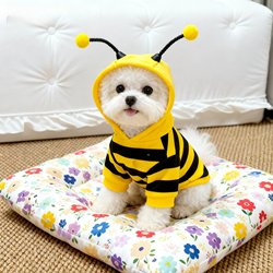 Bichon Dog Clothes Cartoon Cute Funny Little Bee Autumn and Winter Clothes Fleece-lined Heattech Cat Clothes Go out to Wear