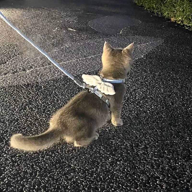 Cat leash wings I-shaped adjustable rope