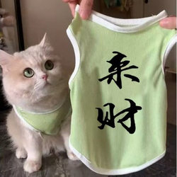[To make money!]!] Cat Dog Clothes Spring and Summer Pet Cat Silver Gradual Blue Cat Anti-Hair Breathable Cute Vest