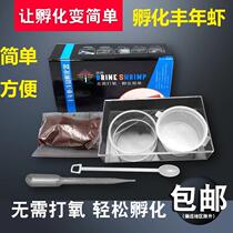 Brine shrimp incubator fine egg breeding box brine insect big red egg larvae small fish take off small fish opening feed