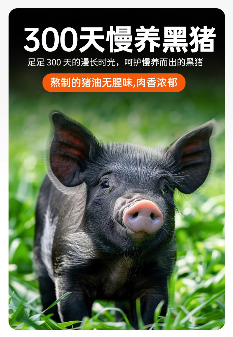 安享好物 安享A级猪油-尝梦黑猪猪油 国标 