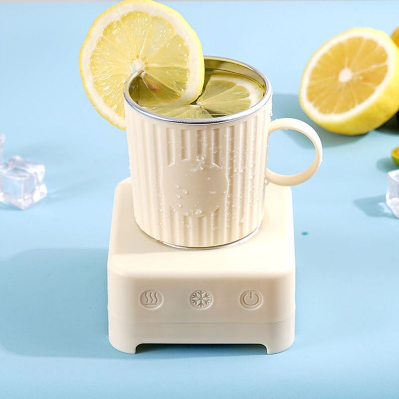 Quick Cooling Cup, Cooling Cup, Thermos Cup, Summer Cold Drink, Ice-Cold Warm/Cold Cup, Dormitory Essential, Office Ice Maker
