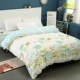 Chăn bông đơn mảnh 150x200x230 đơn mùa xuân và mùa thu đôi bông chăn 180x220x240 - Quilt Covers