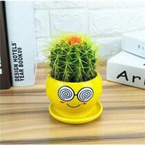 Smiley Face Flower Pot Cactus Set Combination Indoor Formaldehyde Absorbing Cute One Piece Dropshipping Factory