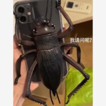 2024 new spoof simulation three-dimensional animal lizard Apple 1415promax mobile phone case suitable for iPhone