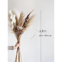Natural reed grass is suitable for dry flower decoration in the living room bouquet grass floor-standing ornaments long-tasseled pampas grass