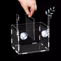 Fish tank isolation box acrylic transparent mini parrot peacock golden wave hatching box fry breeding box