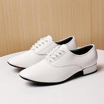 Stone pattern mens modern dance shoes mens dance shoes adult real soft sole ballroom dance Latin dance