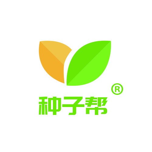 种子帮旗舰店的LOGO