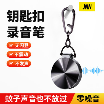 Professional Voice Recorder, High-Definition Noise Reduction, Large Capacity, Meeting Recording, Voice-To-Text, Student Portable Accessory