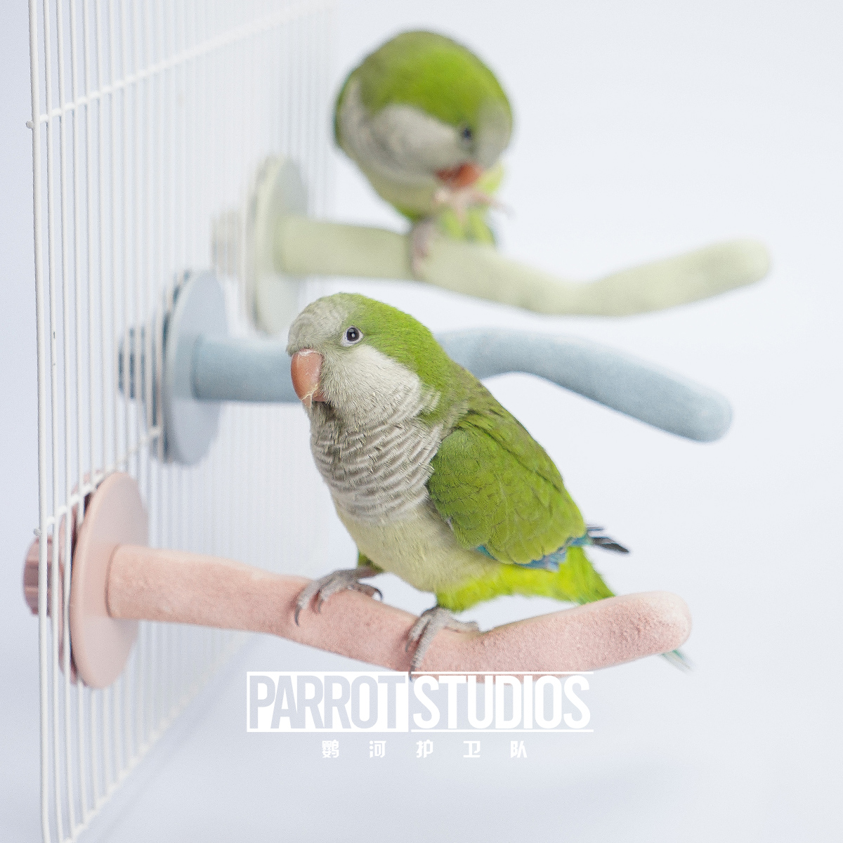 パロットリバーガード スウィートクローグラインドスタンドポールチューイングスタンドスティック 牡丹虎皮パーチスタンドスティック 鳥かご 造園用品