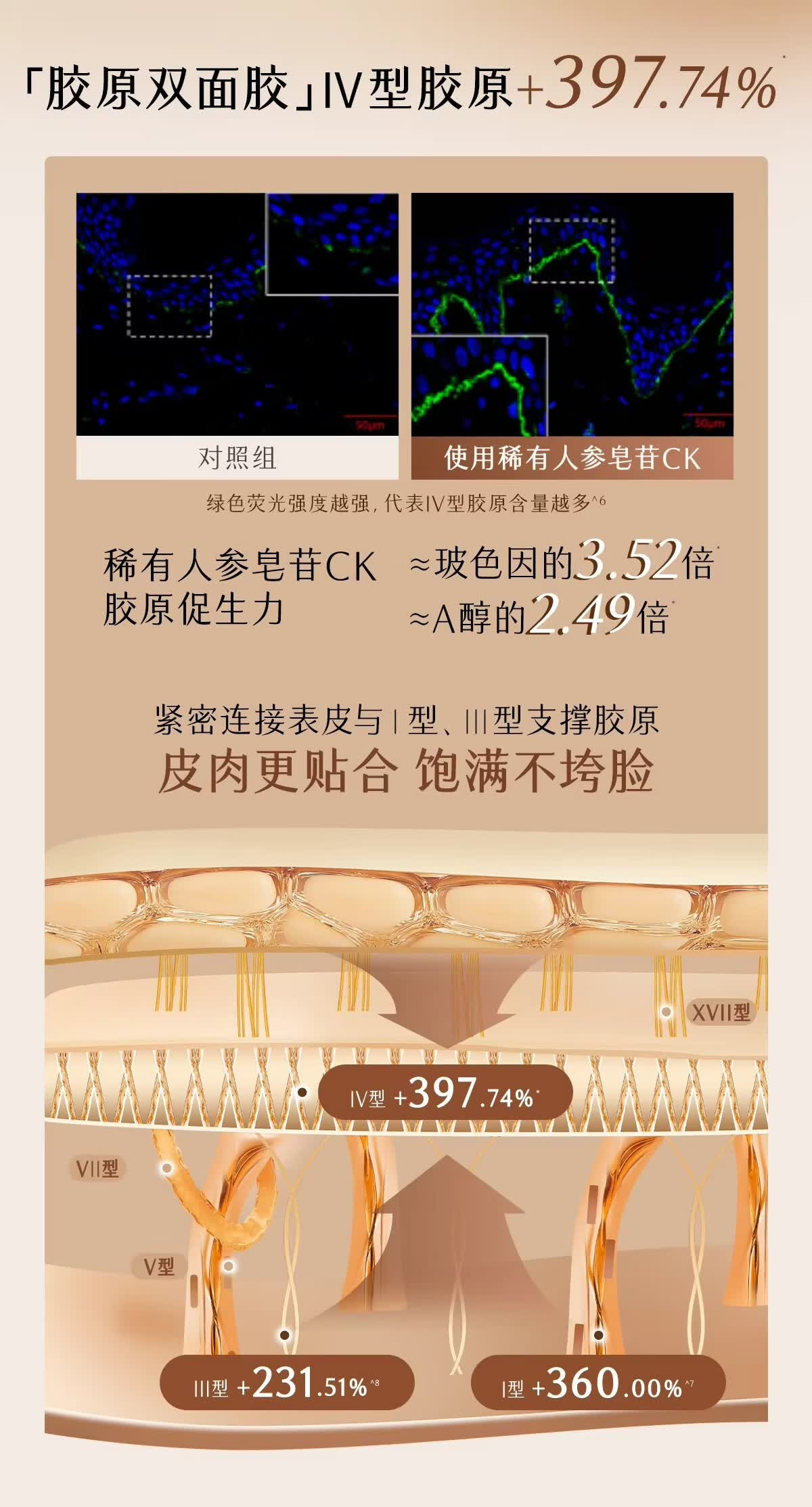 下载 (6).jpg 