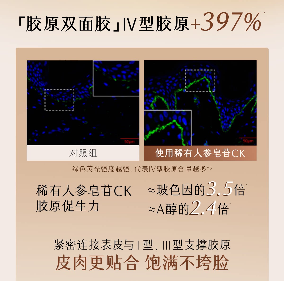 13-690ab312e7629.png 