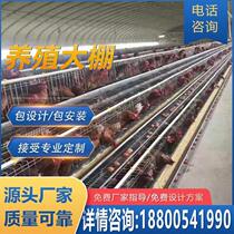 Manufacturer crop planting agricultural breeding greenhouse poultry breeding greenhouse single livestock breeding greenhouse sunshade