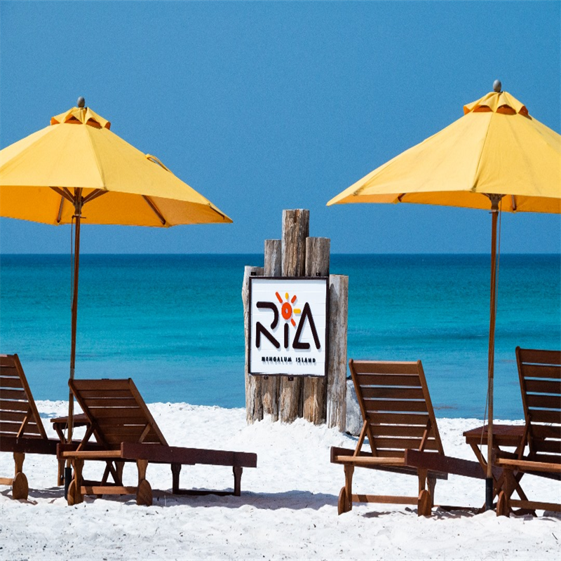 探秘沙巴亚庇：一场红树林里的奇幻之旅