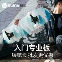 sways adult street four-wheel skateboard childrens beginners youth skateboard double rocker