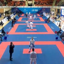 Mat mouth cloth processing high-end car speech mirror floor mat blue photo album host tadpole mat cardboard seat