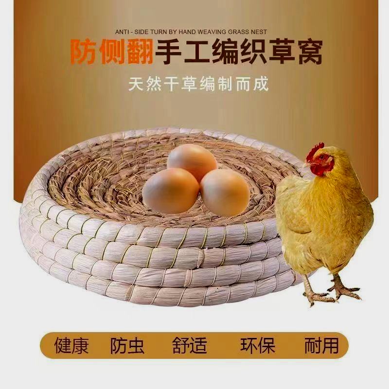 养鸡达人必看：家庭版鸡笼子养殖攻略，大号特大号铁鸡舍自动下蛋神器！