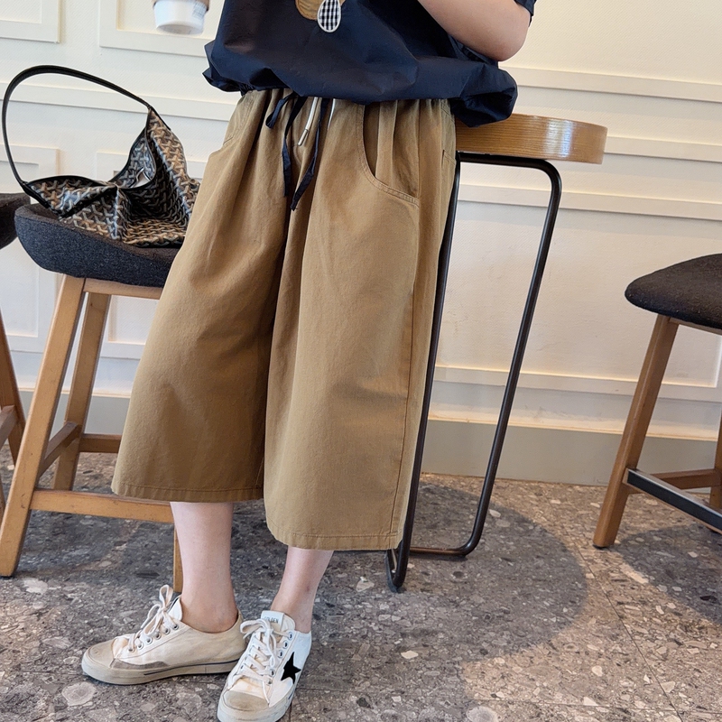 Korean Dongdaemun Women's Summer Workwear Loose and Lazy Style Comfortable Elastic Waist Wide-Leg Cropped Pants Casual Pants Korean Dongdaemun Women's Summer Workwear Loose and Lazy Style Comfortable Elastic Waist Wide-Leg Cropped Pants Casual Pants