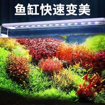 Special lamp for fish tank lighting algae blooming ornamental fish tank water plant special lighting led waterproof cover ceiling lamp waterproof